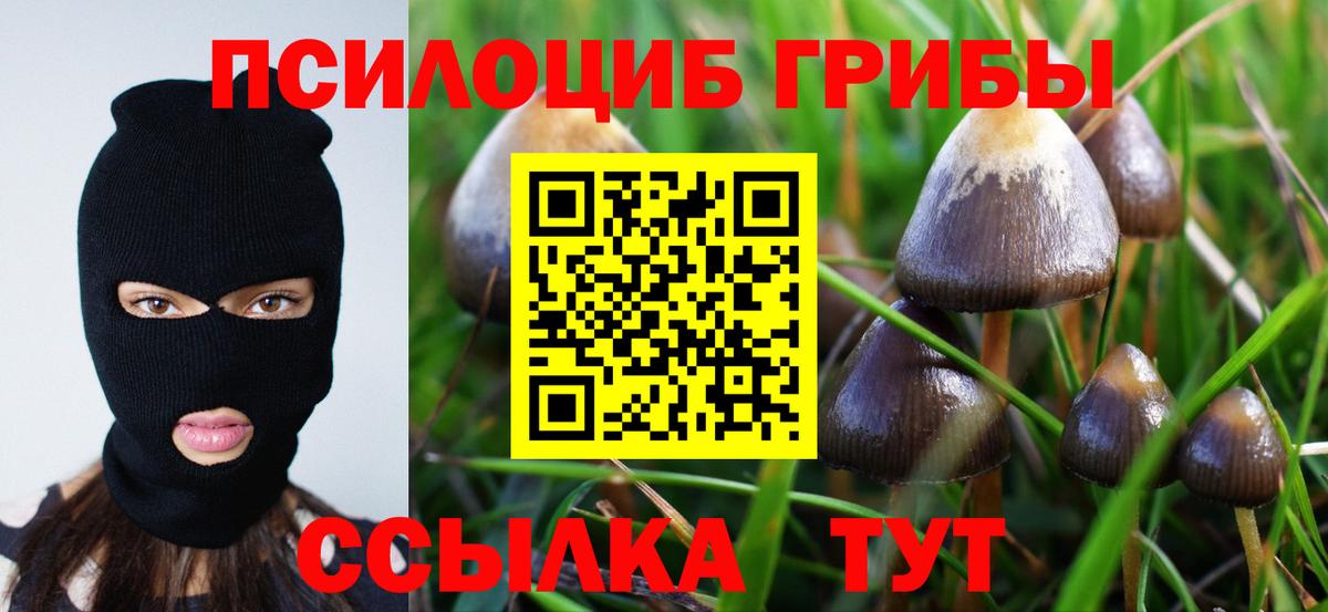 закладка  Галлюциногенные грибы GOLDEN TEACHER  Вход с VPN  Лесозаводск 