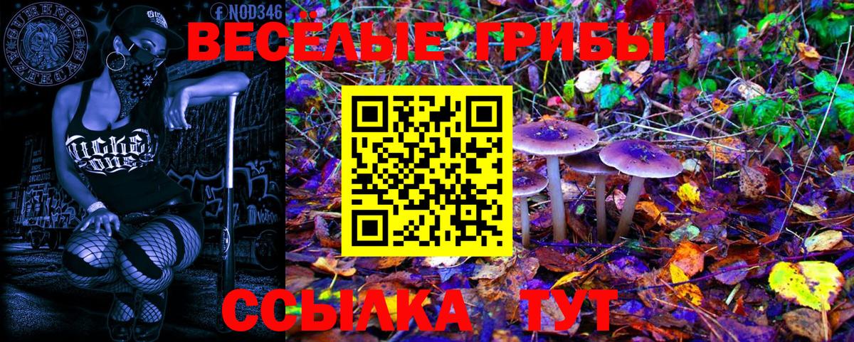 Псилоцибиновые грибы GOLDEN TEACHER Лесозаводск